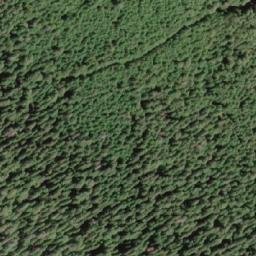 Satellite imagery of White Ridge, CA
