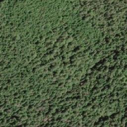 Satellite imagery of White Ridge, CA