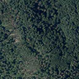 Satellite imagery of Altscheuer, DE