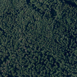 Satellite imagery of Altscheuer, DE