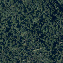 Satellite imagery of Buchenberg, DE