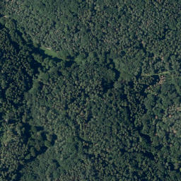 Satellite imagery of Buchenberg, DE