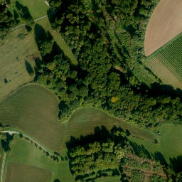 Satellite imagery of Ellenbühl, DE