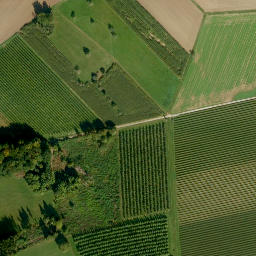 Satellite imagery of Ellenbühl, DE