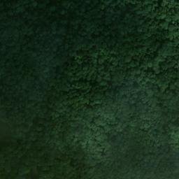 Satellite imagery of Büchelberg, DE