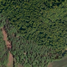 Satellite imagery of Lützelsdorfer Berg, DE