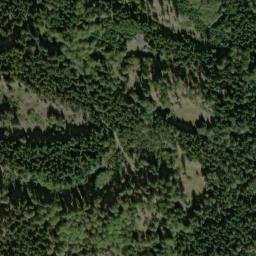 Satellite imagery of Knižeci Strom, CZ