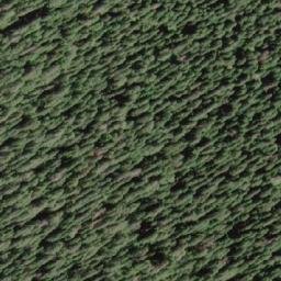 Satellite imagery of White Ridge, CA