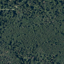 Satellite imagery of Buchenberg, DE