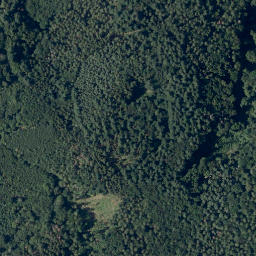 Satellite imagery of Buchenberg, DE