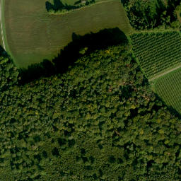 Satellite imagery of Ellenbühl, DE