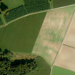 Satellite imagery of Ellenbühl, DE