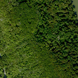 Satellite imagery of Bettinger Berg, DE