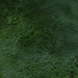 Satellite imagery of Büchelberg, DE