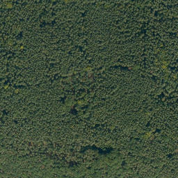Satellite imagery of Rittersberg, DE
