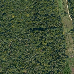 Satellite imagery of Schützenberg, DE