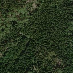 Satellite imagery of Knižeci Strom, CZ