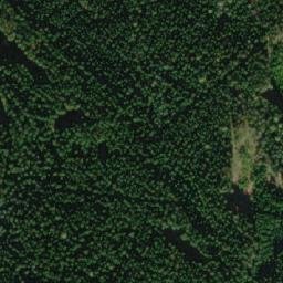 Satellite imagery of (U Martinic) [Proseč-Martinice u Skutče], CZ