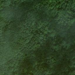 Satellite imagery of Büchelberg, DE