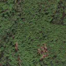 Satellite imagery of Lützelsdorfer Berg, DE