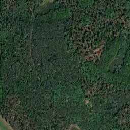 Satellite imagery of Tetřevník [Chotilsko-Hněvšín], CZ