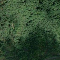 Satellite imagery of Tannenberg, DE