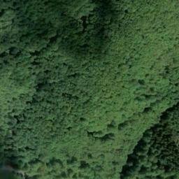 Satellite imagery of Tannenberg, DE