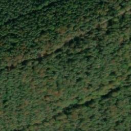 Satellite imagery of Tannenbuckel, DE