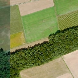 Satellite imagery of Großer First, DE