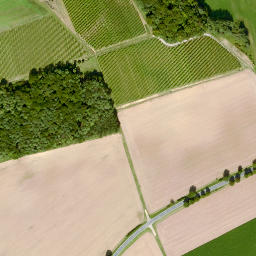 Satellite imagery of Großer First, DE