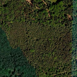 Satellite imagery of Seeramsberg, DE