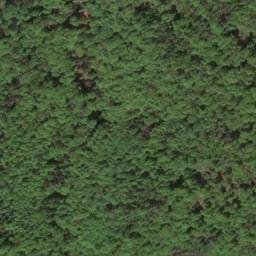 Satellite imagery of Wachtknock (Buckenreuth), DE