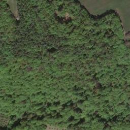 Satellite imagery of Wachtknock (Buckenreuth), DE