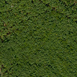 Satellite imagery of Mühlberg, DE