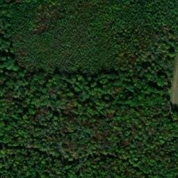 Satellite imagery of Sesselberg, DE