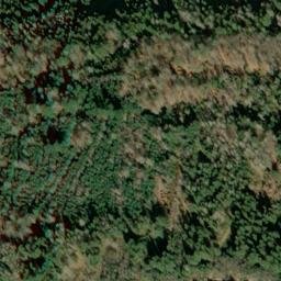 Satellite imagery of Haselstein, DE