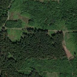 Satellite imagery of (Martovy) [Slavíkov u Chotěboře], CZ