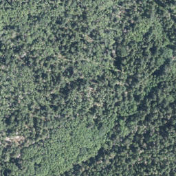 Satellite imagery of Ball Point, CA