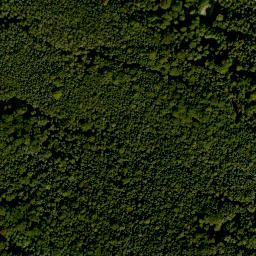 Satellite imagery of Ospis, DE