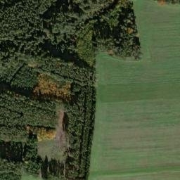 Satellite imagery of [Bor - Kurojedy] GSM, CZ