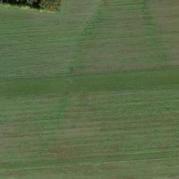 Satellite imagery of [Bor - Kurojedy] GSM, CZ