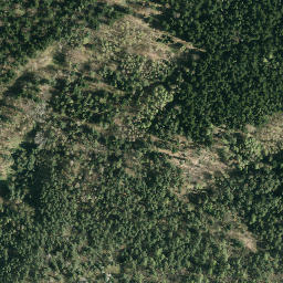 Satellite imagery of Słup triangulacyjny, PL