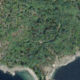 Satellite imagery of Scotch Fir Point, CA
