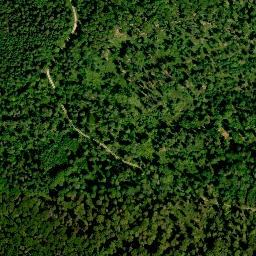 Satellite imagery of Saalwald, DE