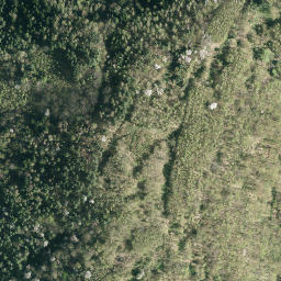 Satellite imagery of Słup triangulacyjny, PL