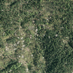 Satellite imagery of Słup triangulacyjny, PL