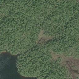 Satellite imagery of Northwest Cone, CA