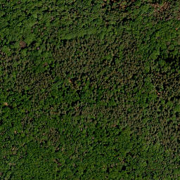 Satellite imagery of Lohberg, DE