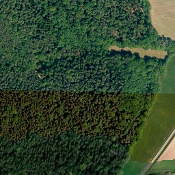 Satellite imagery of Schloss Fürstenforst, DE