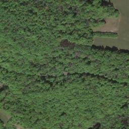 Satellite imagery of Wannbacher Berg, DE